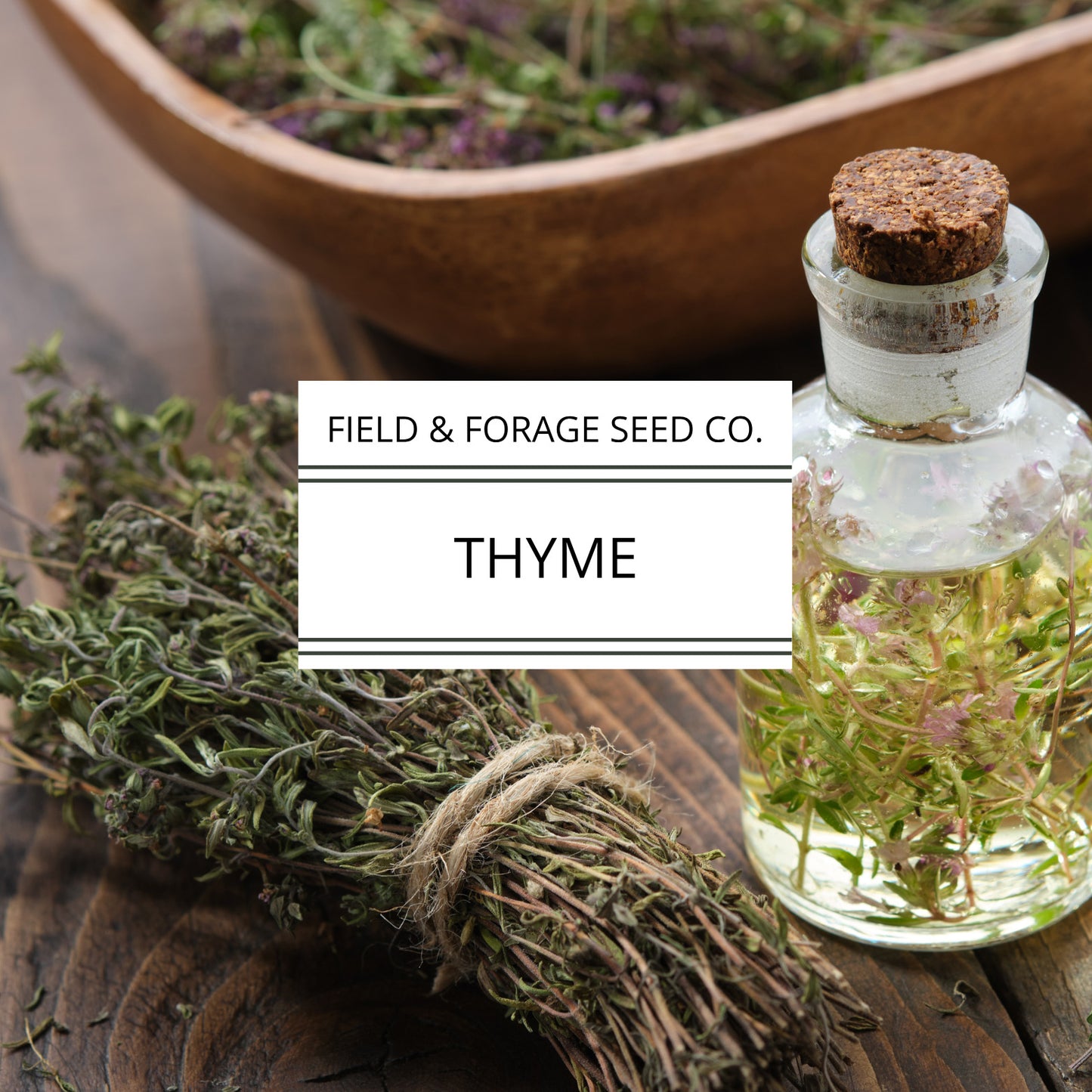Thyme | Thymus vulgaris | Heirloom | Non-GMO | 100 Seeds