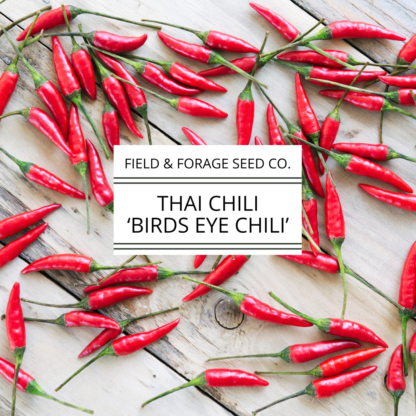 Thai Pepper 'Bird’s Eye Chili' | Capsicum annuum | Heirloom | Non-GMO | 30 Seeds