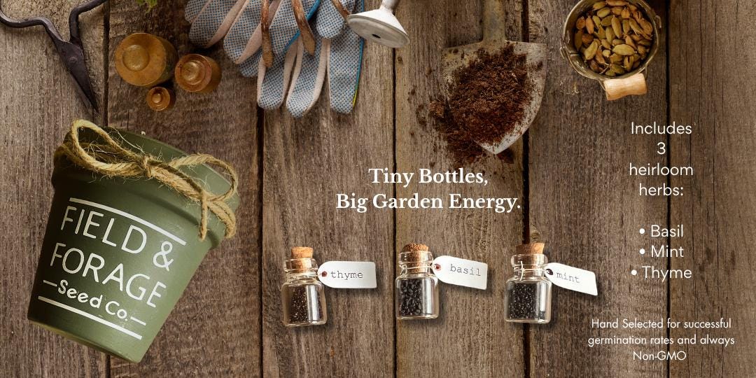 Handcrafted Herb Marker & Seed Gift Set | Rustic Garden Signs with Basil, Mint and Thyme Seeds